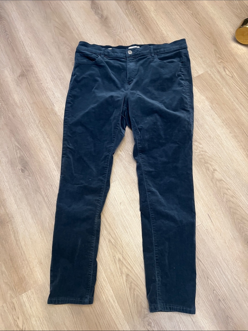 LOFT Navy Skinny Corduroy Pants